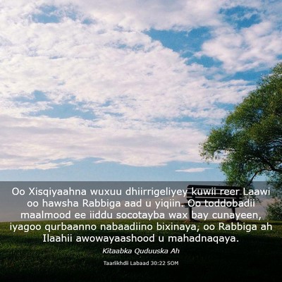 Picture 03 - Taariikhdii Labaad 30:22 SOM - Oo Xisqiyaahna wuxuu dhiirrigeliyey kuwii reer - Bible Verse Picture