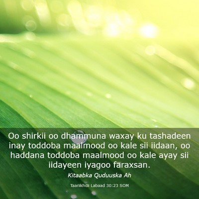 Picture 03 - Taariikhdii Labaad 30:23 SOM - Oo shirkii oo dhammuna waxay ku tashadeen inay - Bible Verse Picture