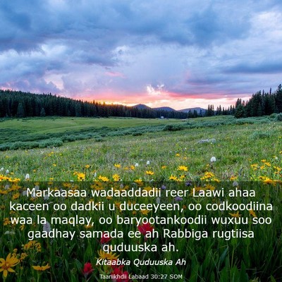 Picture 03 - Taariikhdii Labaad 30:27 SOM - Markaasaa wadaaddadii reer Laawi ahaa kaceen oo - Bible Verse Picture