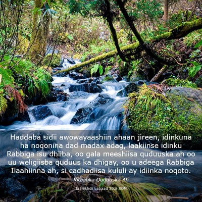 Picture 03 - Taariikhdii Labaad 30:8 SOM - Haddaba sidii awowayaashiin ahaan jireen, - Bible Verse Picture