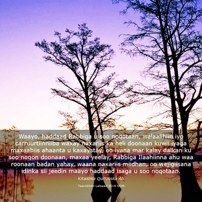 Picture 03 - Taariikhdii Labaad 30:9 SOM - Waayo, haddaad Rabbiga u soo noqotaan, - Bible Verse Picture