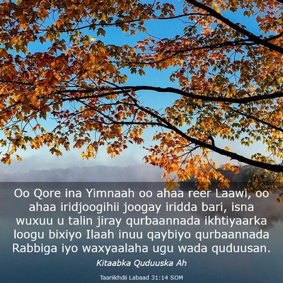 Picture 03 - Taariikhdii Labaad 31:14 SOM - Oo Qore ina Yimnaah oo ahaa reer Laawi, oo ahaa - Bible Verse Picture