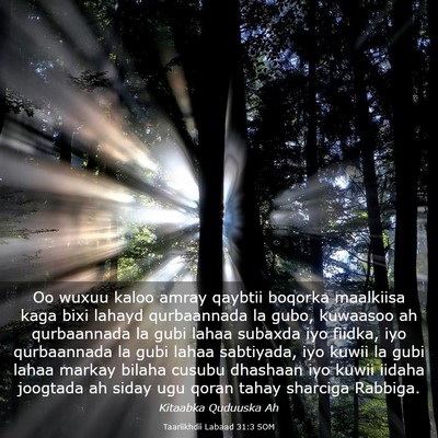 Picture 03 - Taariikhdii Labaad 31:3 SOM - Oo wuxuu kaloo amray qaybtii boqorka maalkiisa - Bible Verse Picture