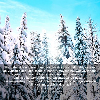 Picture 03 - Taariikhdii Labaad 32:15 SOM - Haddaba sidaas daraaddeed Xisqiyaah yuusan idin - Bible Verse Picture