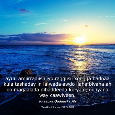 Picture 03 - Taariikhdii Labaad 32:3 SOM - ayuu amiirradiisii iyo raggiisii xoogga badnaa - Bible Verse Picture
