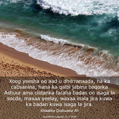 Picture 03 - Taariikhdii Labaad 32:7 SOM - Xoog yeesha oo aad u dhiirranaada, ha ka - Bible Verse Picture