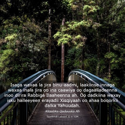 Picture 03 - Taariikhdii Labaad 32:8 SOM - Isaga waxaa la jira binu-aadmi, laakiinse innaga - Bible Verse Picture