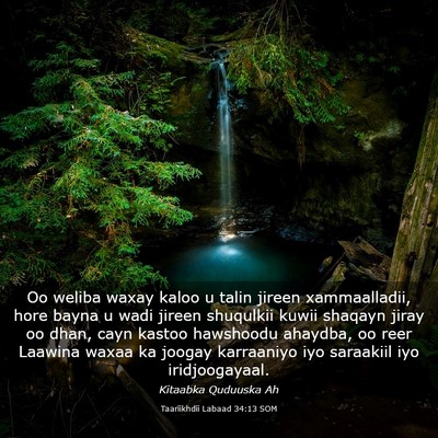 Picture 03 - Taariikhdii Labaad 34:13 SOM - Oo weliba waxay kaloo u talin jireen - Bible Verse Picture