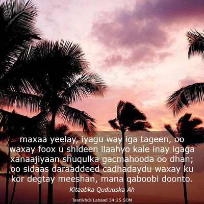 Picture 03 - Taariikhdii Labaad 34:25 SOM - maxaa yeelay, iyagu way iga tageen, oo waxay foox - Bible Verse Picture