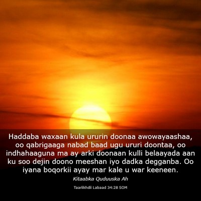 Picture 03 - Taariikhdii Labaad 34:28 SOM - Haddaba waxaan kula ururin doonaa awowayaashaa, - Bible Verse Picture
