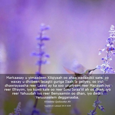 Picture 03 - Taariikhdii Labaad 34:9 SOM - Markaasay u yimaadeen Xilqiyaah oo ahaa wadaadkii - Bible Verse Picture