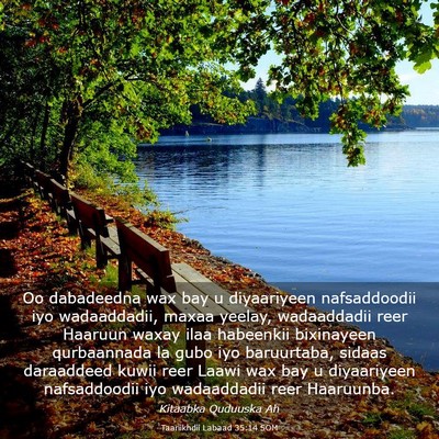 Picture 03 - Taariikhdii Labaad 35:14 SOM - Oo dabadeedna wax bay u diyaariyeen nafsaddoodii - Bible Verse Picture