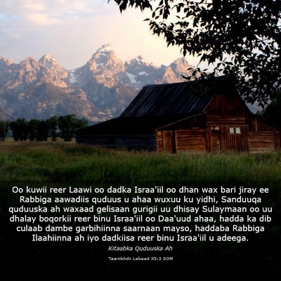 Picture 03 - Taariikhdii Labaad 35:3 SOM - Oo kuwii reer Laawi oo dadka Israa'iil oo dhan - Bible Verse Picture
