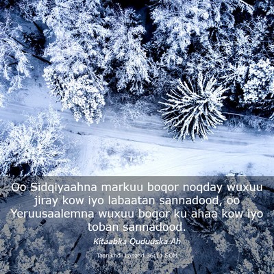 Picture 03 - Taariikhdii Labaad 36:11 SOM - Oo Sidqiyaahna markuu boqor noqday wuxuu jiray - Bible Verse Picture