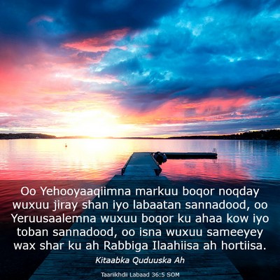 Picture 03 - Taariikhdii Labaad 36:5 SOM - Oo Yehooyaaqiimna markuu boqor noqday wuxuu jiray - Bible Verse Picture