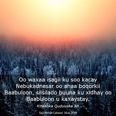 Picture 03 - Taariikhdii Labaad 36:6 SOM - Oo waxaa isagii ku soo kacay Nebukadnesar oo ahaa - Bible Verse Picture