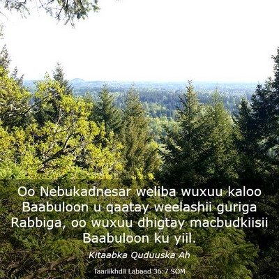 Picture 03 - Taariikhdii Labaad 36:7 SOM - Oo Nebukadnesar weliba wuxuu kaloo Baabuloon u - Bible Verse Picture