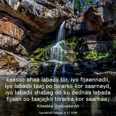 Picture 03 - Taariikhdii Labaad 4:12 SOM - kaasoo ahaa labadii tiir, iyo fijaannadii, iyo - Bible Verse Picture