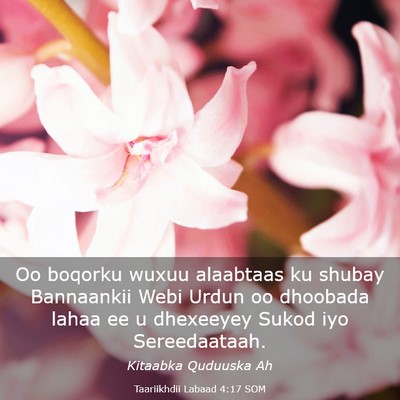Picture 03 - Taariikhdii Labaad 4:17 SOM - Oo boqorku wuxuu alaabtaas ku shubay Bannaankii - Bible Verse Picture