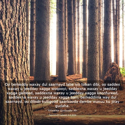 Picture 03 - Taariikhdii Labaad 4:4 SOM - Oo berkeddu waxay dul saarnayd laba iyo toban - Bible Verse Picture