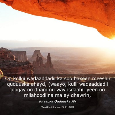 Picture 03 - Taariikhdii Labaad 5:11 SOM - Oo kolkii wadaaddadii ka soo baxeen meeshii - Bible Verse Picture