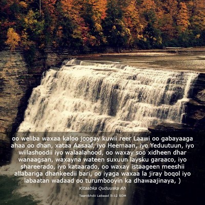 Picture 03 - Taariikhdii Labaad 5:12 SOM - oo weliba waxaa kaloo joogay kuwii reer Laawi oo - Bible Verse Picture