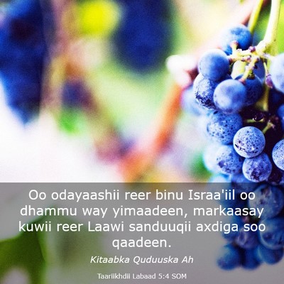 Picture 03 - Taariikhdii Labaad 5:4 SOM - Oo odayaashii reer binu Israa'iil oo dhammu way - Bible Verse Picture