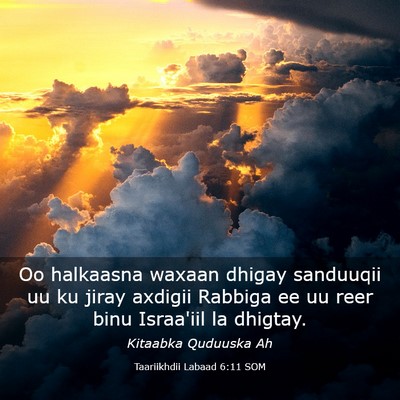 Picture 03 - Taariikhdii Labaad 6:11 SOM - Oo halkaasna waxaan dhigay sanduuqii uu ku jiray - Bible Verse Picture