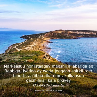 Picture 03 - Taariikhdii Labaad 6:12 SOM - Markaasuu hor istaagay meeshii allabariga ee - Bible Verse Picture