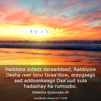 Picture 03 - Taariikhdii Labaad 6:17 SOM - Haddaba sidaas daraaddeed, Rabbiyow Ilaaha reer - Bible Verse Picture