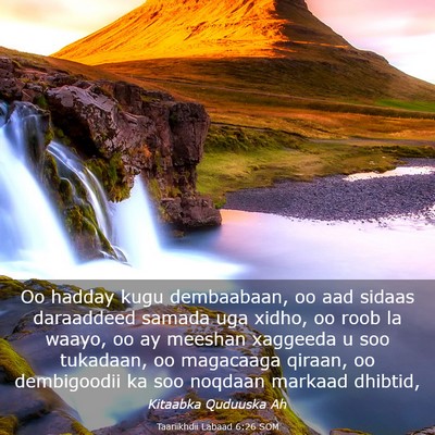 Picture 03 - Taariikhdii Labaad 6:26 SOM - Oo hadday kugu dembaabaan, oo aad sidaas - Bible Verse Picture