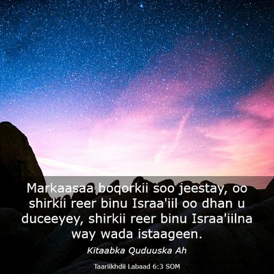 Picture 03 - Taariikhdii Labaad 6:3 SOM - Markaasaa boqorkii soo jeestay, oo shirkii reer - Bible Verse Picture