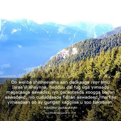 Picture 03 - Taariikhdii Labaad 6:32 SOM - Oo weliba shisheeyaha aan dadkaaga reer binu - Bible Verse Picture