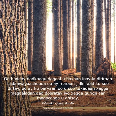 Picture 03 - Taariikhdii Labaad 6:34 SOM - Oo hadday dadkaagu dagaal u baxaan inay la - Bible Verse Picture