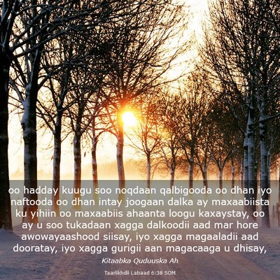 Picture 03 - Taariikhdii Labaad 6:38 SOM - oo hadday kuugu soo noqdaan qalbigooda oo dhan - Bible Verse Picture