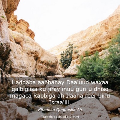 Picture 03 - Taariikhdii Labaad 6:7 SOM - Haddaba aabbahay Daa'uud waxaa qalbigiisa ku - Bible Verse Picture