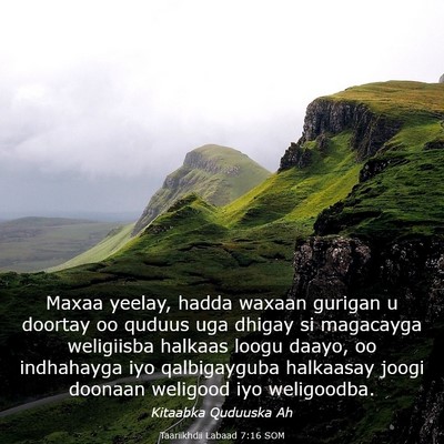Picture 03 - Taariikhdii Labaad 7:16 SOM - Maxaa yeelay, hadda waxaan gurigan u doortay oo - Bible Verse Picture