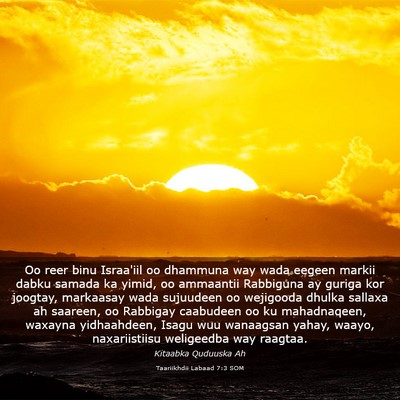 Picture 03 - Taariikhdii Labaad 7:3 SOM - Oo reer binu Israa'iil oo dhammuna way wada - Bible Verse Picture