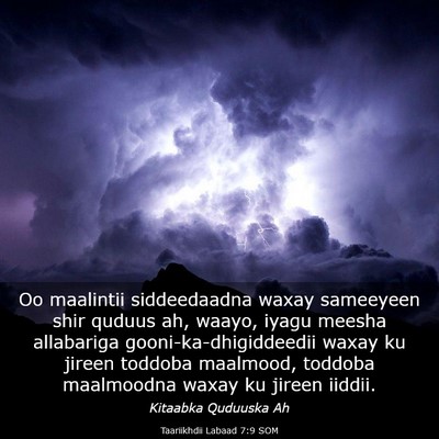 Picture 03 - Taariikhdii Labaad 7:9 SOM - Oo maalintii siddeedaadna waxay sameeyeen shir - Bible Verse Picture