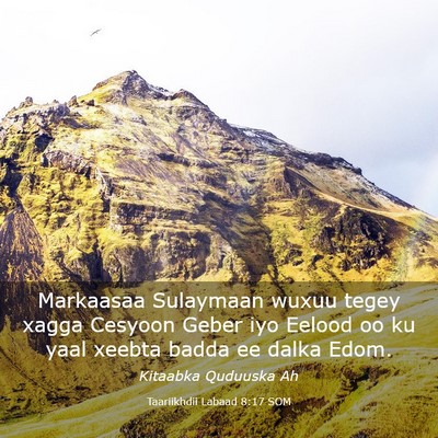 Picture 03 - Taariikhdii Labaad 8:17 SOM - Markaasaa Sulaymaan wuxuu tegey xagga Cesyoon - Bible Verse Picture