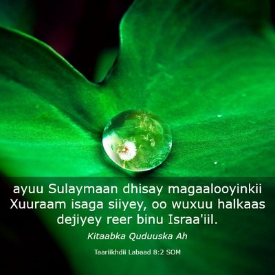 Picture 03 - Taariikhdii Labaad 8:2 SOM - ayuu Sulaymaan dhisay magaalooyinkii Xuuraam - Bible Verse Picture