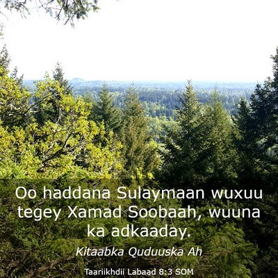 Picture 03 - Taariikhdii Labaad 8:3 SOM - Oo haddana Sulaymaan wuxuu tegey Xamad Soobaah, - Bible Verse Picture