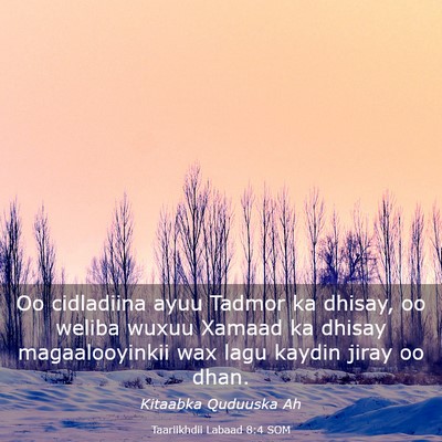 Picture 03 - Taariikhdii Labaad 8:4 SOM - Oo cidladiina ayuu Tadmor ka dhisay, oo weliba - Bible Verse Picture
