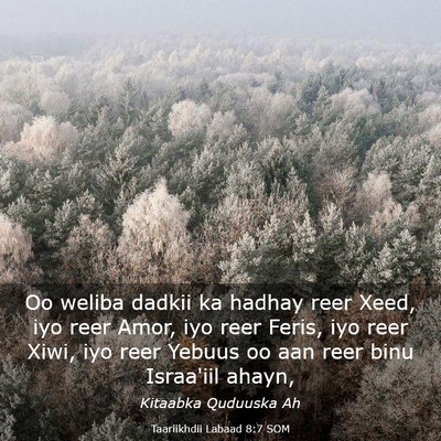 Picture 03 - Taariikhdii Labaad 8:7 SOM - Oo weliba dadkii ka hadhay reer Xeed, iyo reer - Bible Verse Picture