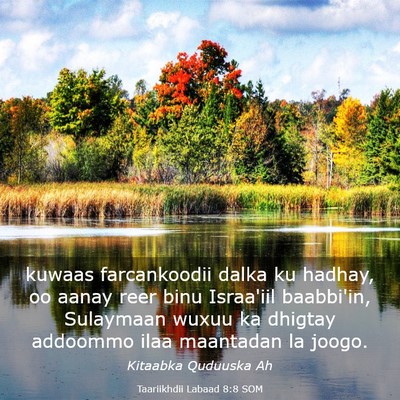 Picture 03 - Taariikhdii Labaad 8:8 SOM - kuwaas farcankoodii dalka ku hadhay, oo aanay - Bible Verse Picture