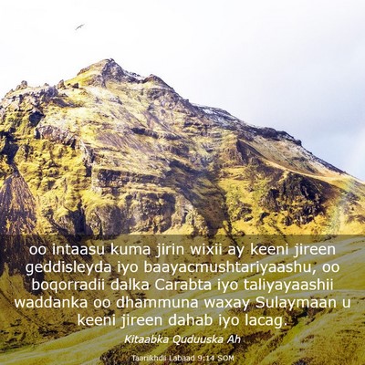 Picture 03 - Taariikhdii Labaad 9:14 SOM - oo intaasu kuma jirin wixii ay keeni jireen - Bible Verse Picture