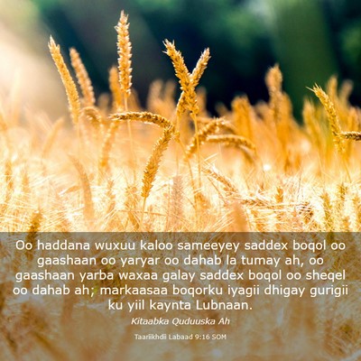 Picture 03 - Taariikhdii Labaad 9:16 SOM - Oo haddana wuxuu kaloo sameeyey saddex boqol oo - Bible Verse Picture