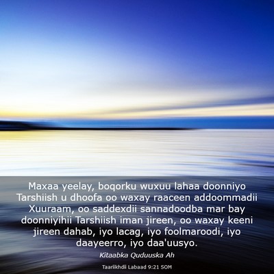 Picture 03 - Taariikhdii Labaad 9:21 SOM - Maxaa yeelay, boqorku wuxuu lahaa doonniyo - Bible Verse Picture