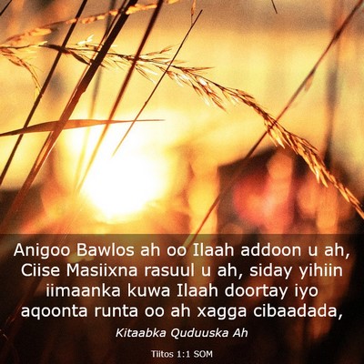 Picture 03 - Tiitos 1:1 SOM - Anigoo Bawlos ah oo Ilaah addoon u ah, Ciise - Bible Verse Picture