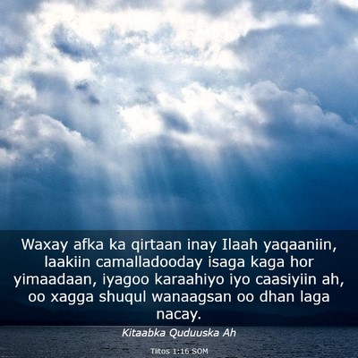Picture 03 - Tiitos 1:16 SOM - Waxay afka ka qirtaan inay Ilaah yaqaaniin, - Bible Verse Picture